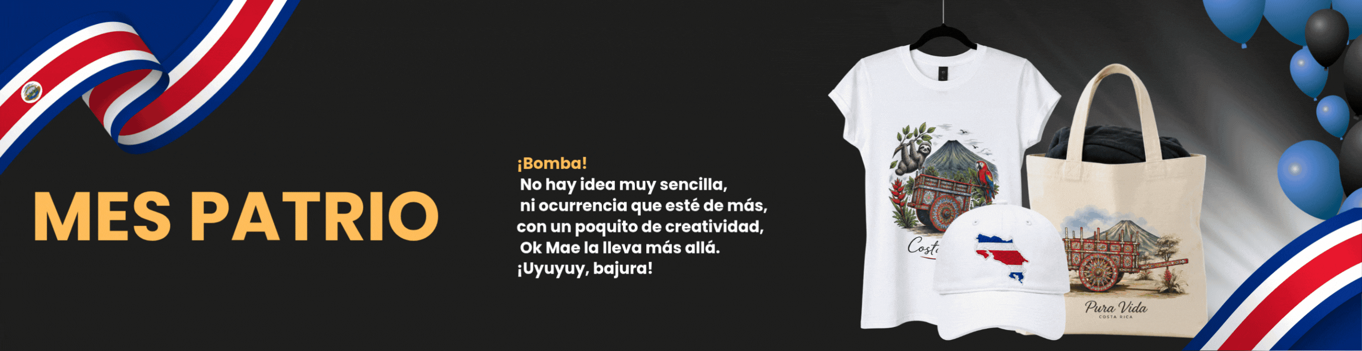 promoción inicio de año web ok mae